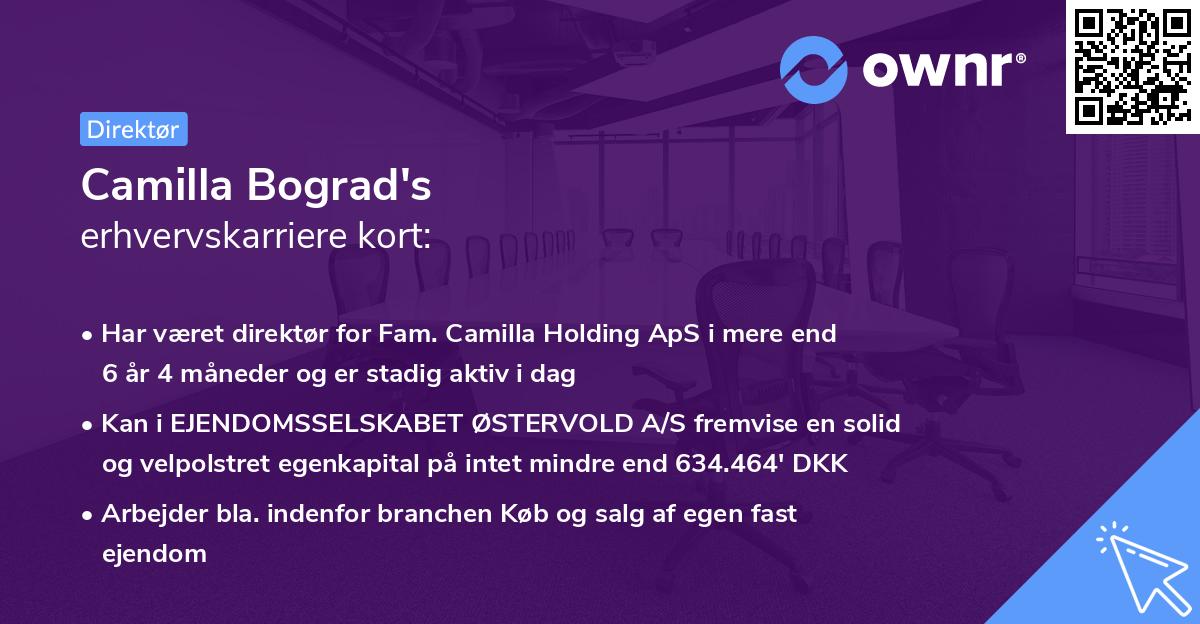 Camilla Bograd's erhvervskarriere kort