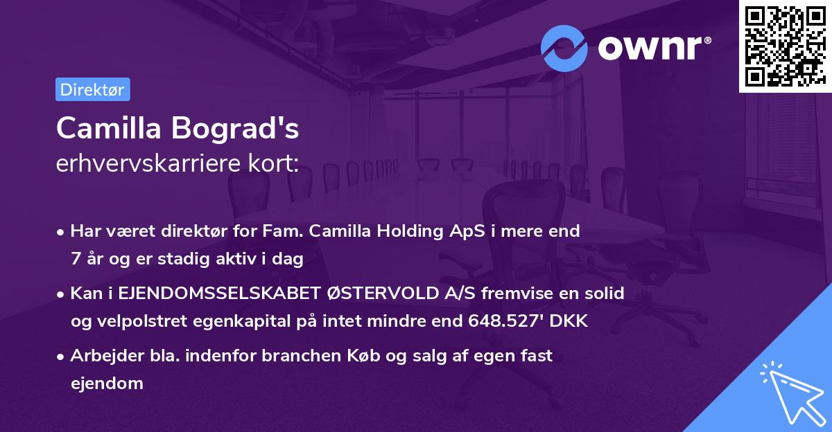 Camilla Bograd's erhvervskarriere kort
