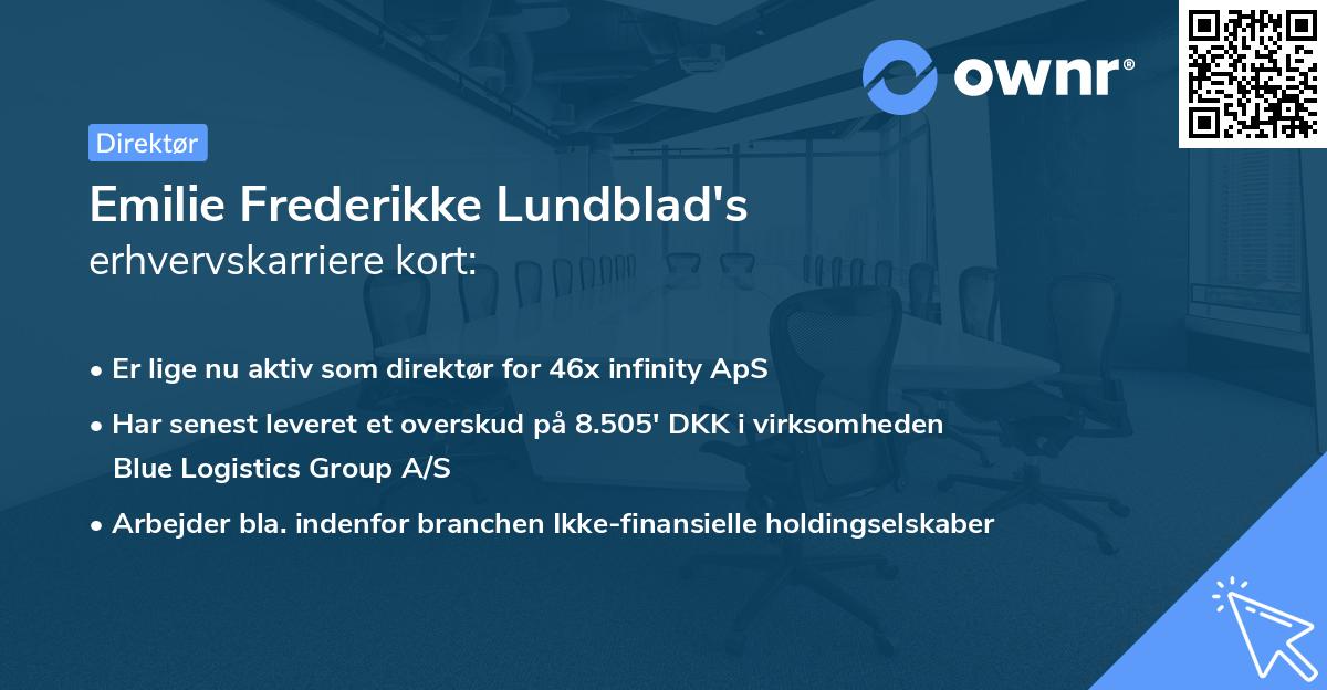 Emilie Frederikke Lundblad's erhvervskarriere kort