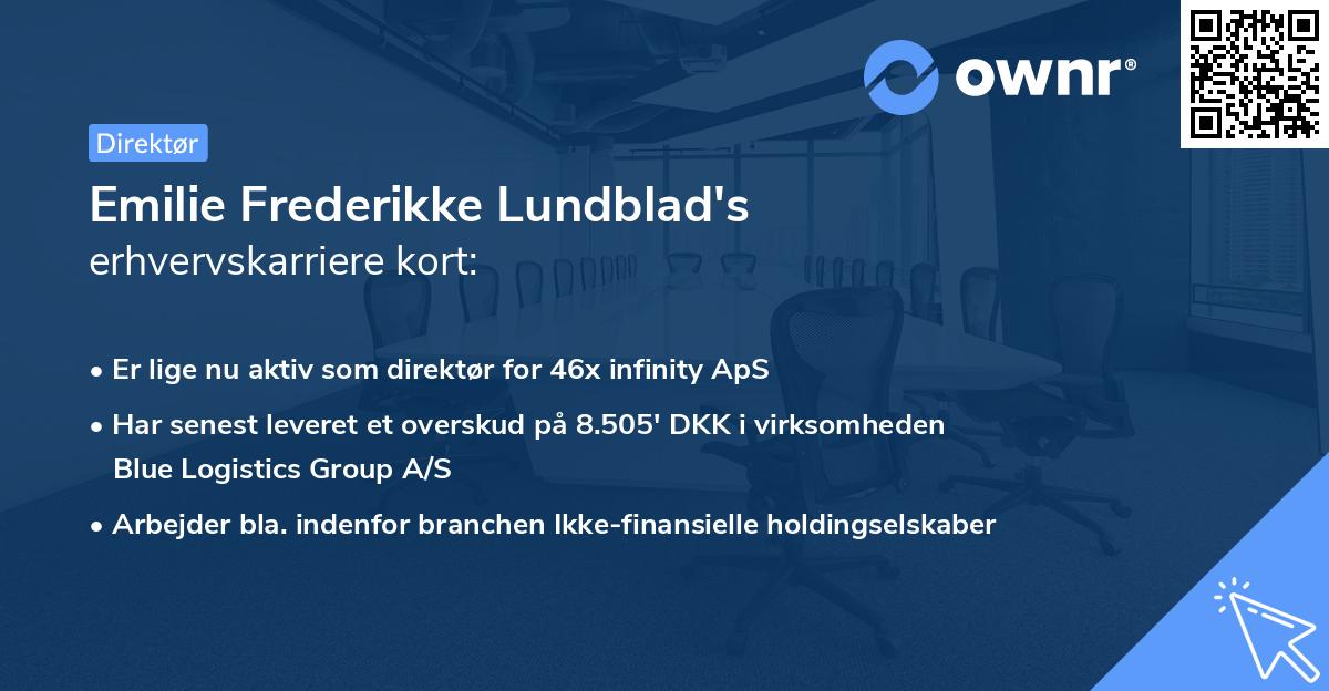 Emilie Frederikke Lundblad's erhvervskarriere kort