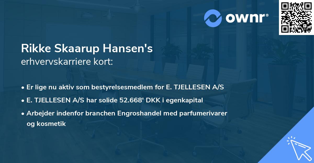 Rikke Skaarup Hansen's erhvervskarriere kort