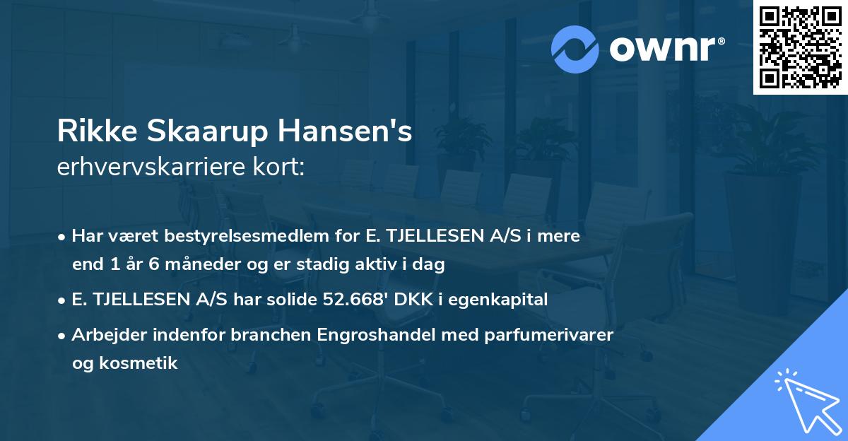 Rikke Skaarup Hansen's erhvervskarriere kort