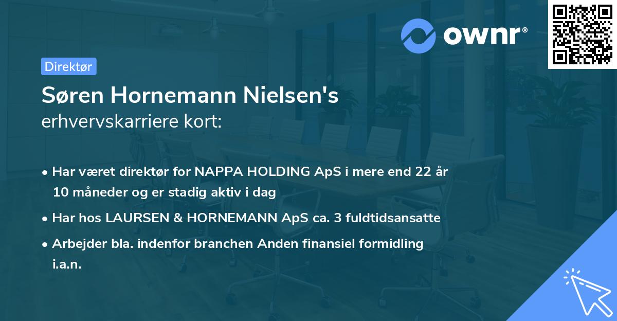 Søren Hornemann Nielsen's erhvervskarriere kort