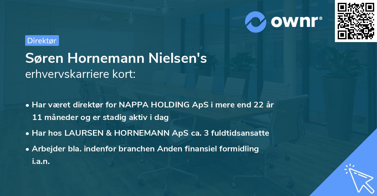 Søren Hornemann Nielsen's erhvervskarriere kort
