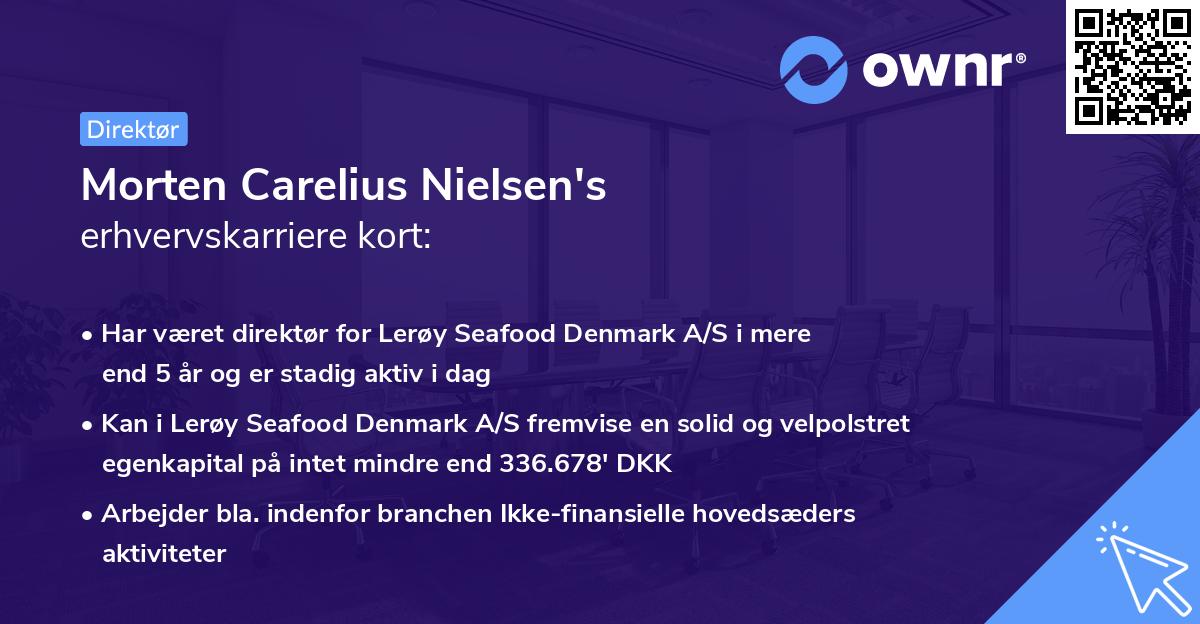 Morten Carelius Nielsen's erhvervskarriere kort