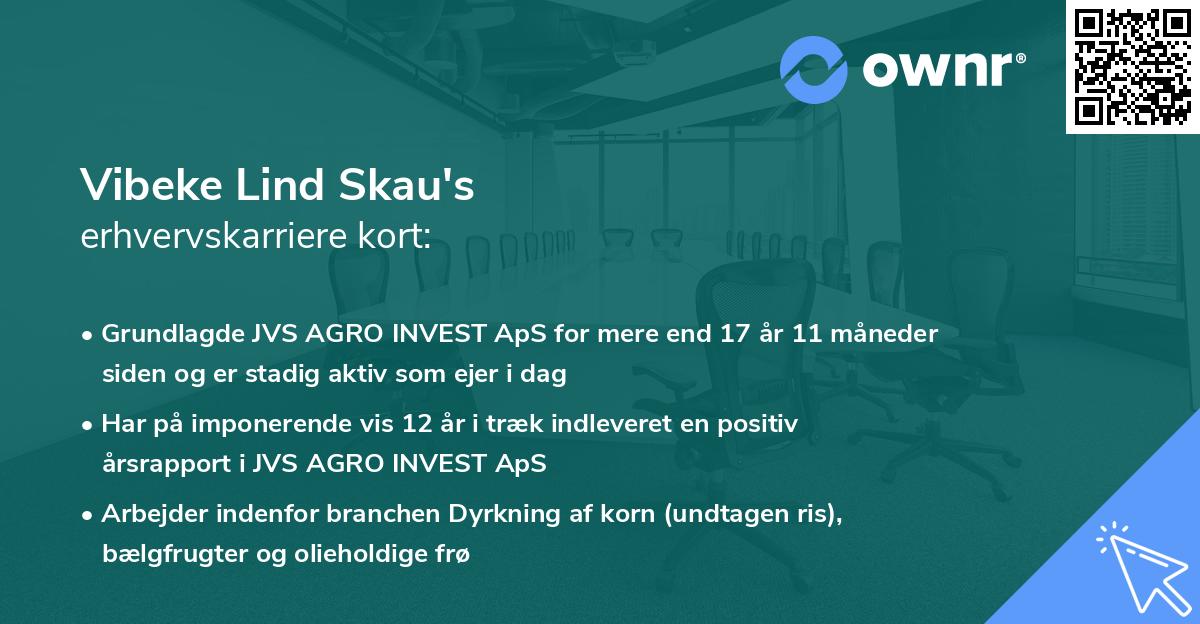 Vibeke Lind Skau's erhvervskarriere kort