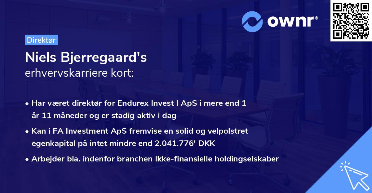 Niels Bjerregaard's erhvervskarriere kort