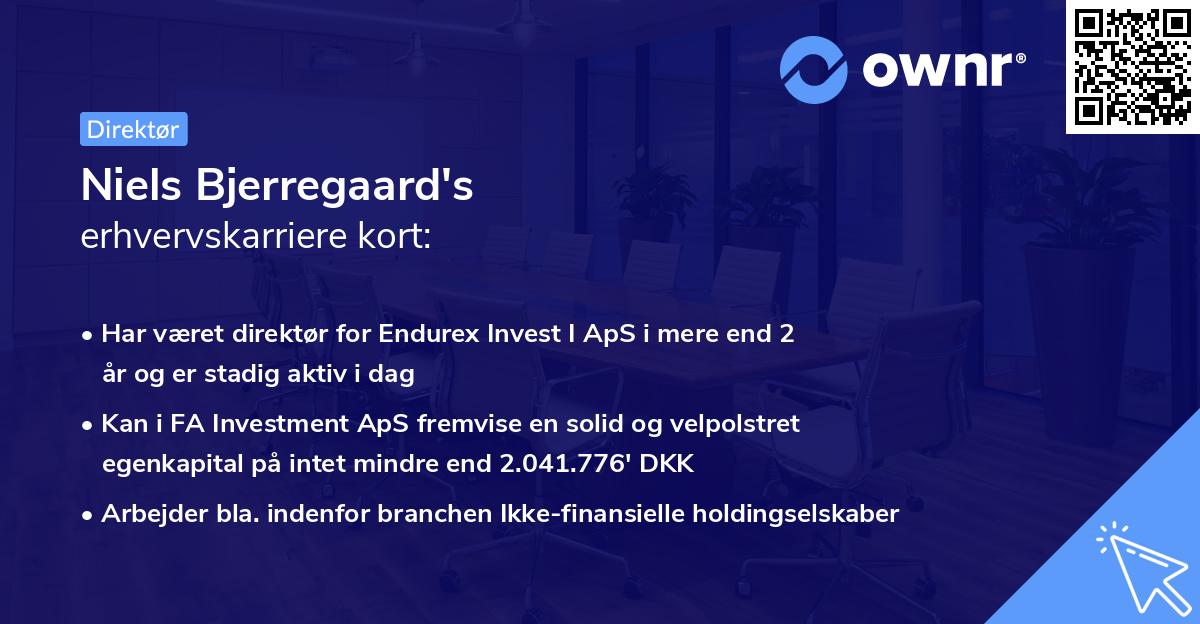 Niels Bjerregaard's erhvervskarriere kort