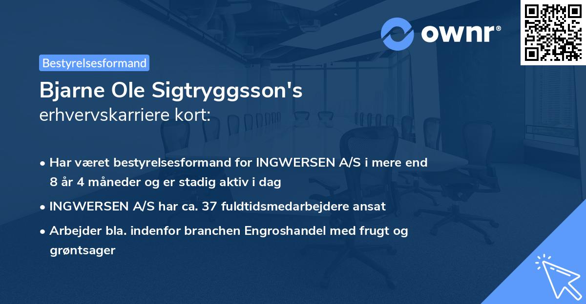 Bjarne Ole Sigtryggsson's erhvervskarriere kort