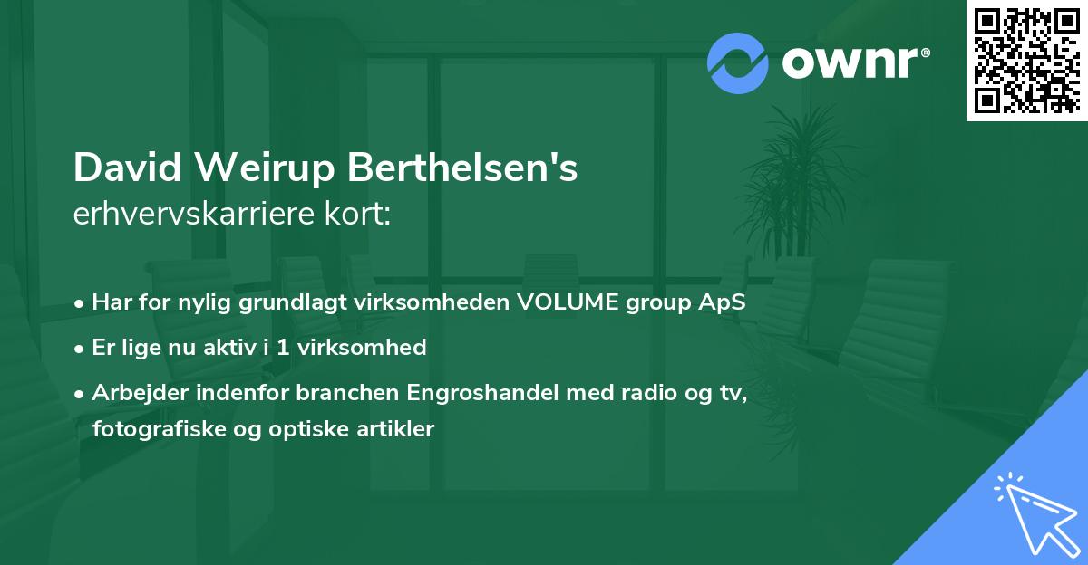 David Weirup Berthelsen's erhvervskarriere kort