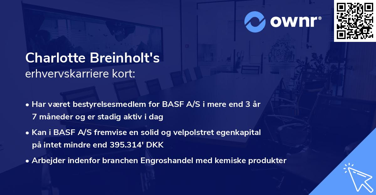 Charlotte Breinholt's erhvervskarriere kort