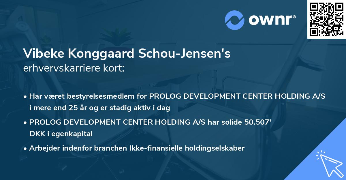 Vibeke Konggaard Schou-Jensen's erhvervskarriere kort