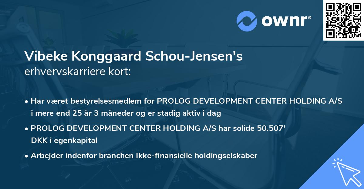 Vibeke Konggaard Schou-Jensen's erhvervskarriere kort