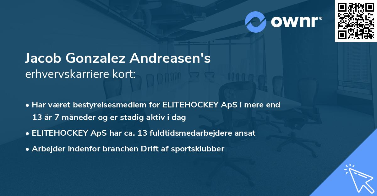 Jacob Gonzalez Andreasen's erhvervskarriere kort