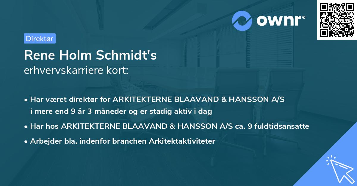 Rene Holm Schmidt's erhvervskarriere kort