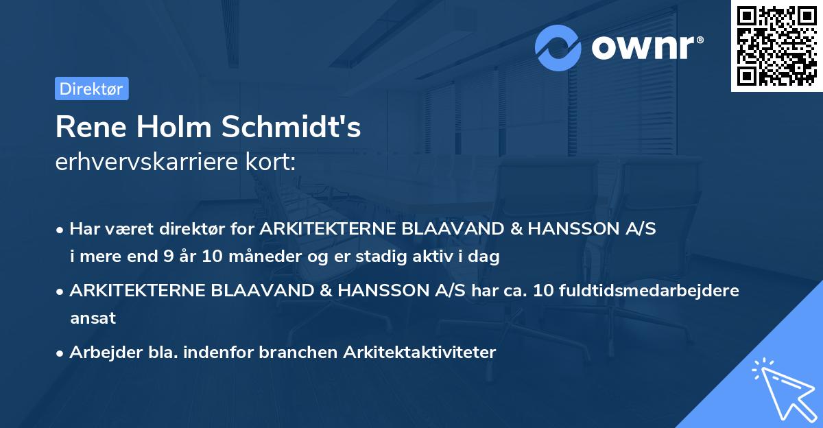 Rene Holm Schmidt's erhvervskarriere kort