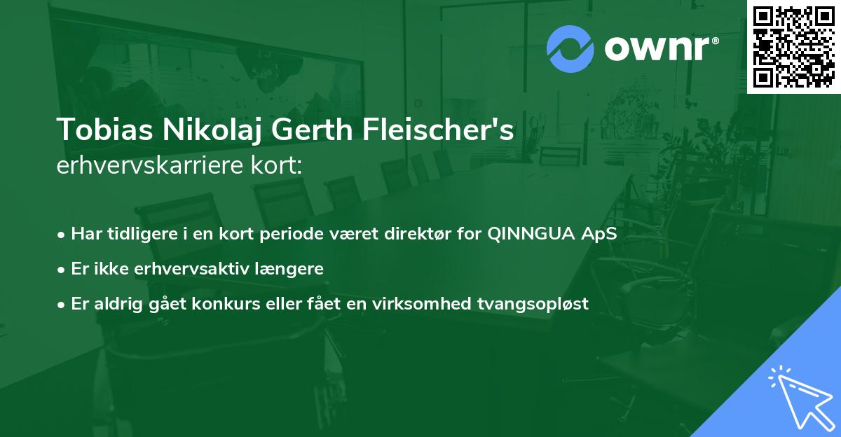 Tobias Nikolaj Gerth Fleischer's erhvervskarriere kort