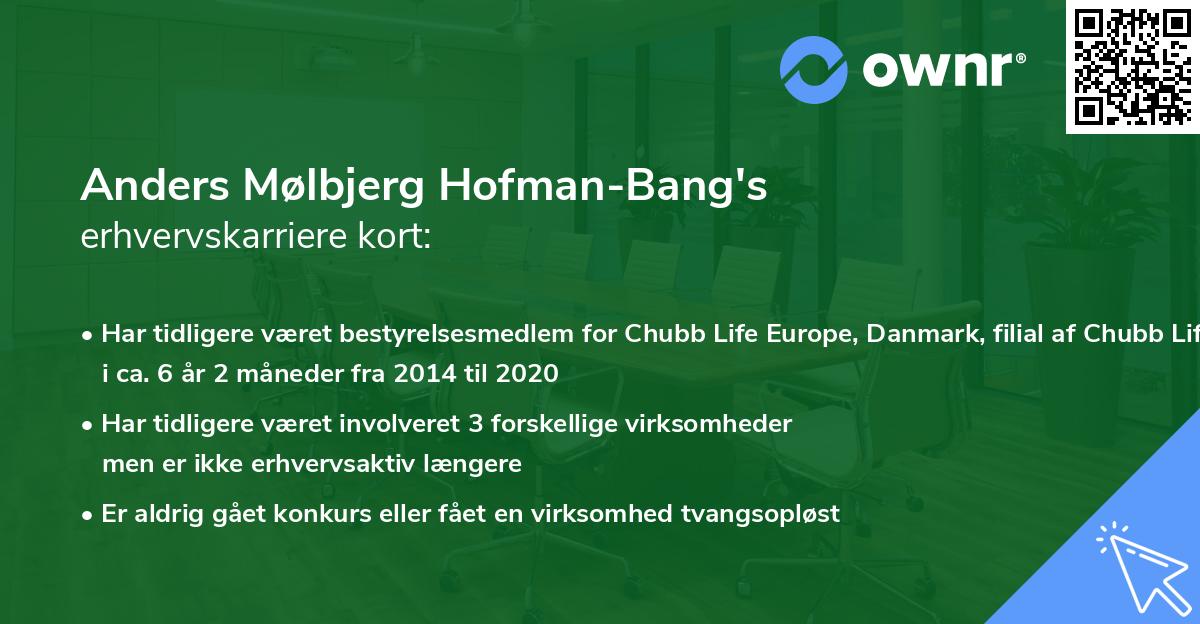 Anders Mølbjerg Hofman-Bang's erhvervskarriere kort