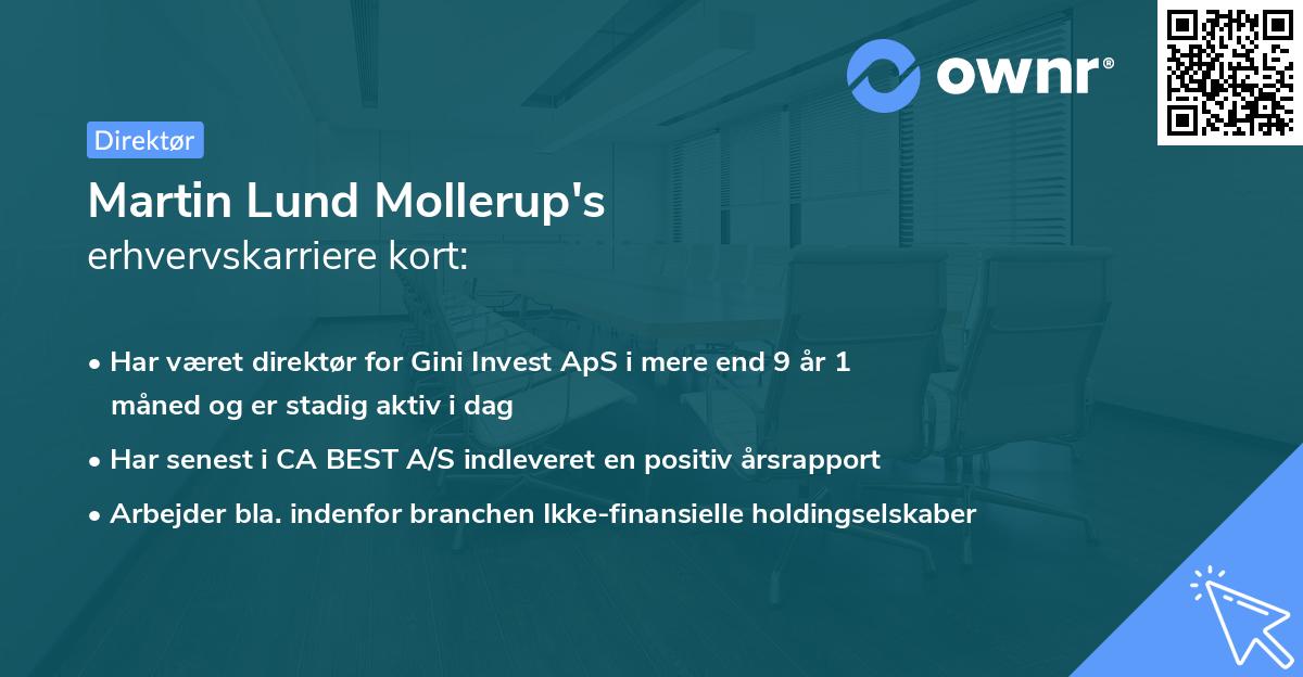 Martin Lund Mollerup's erhvervskarriere kort