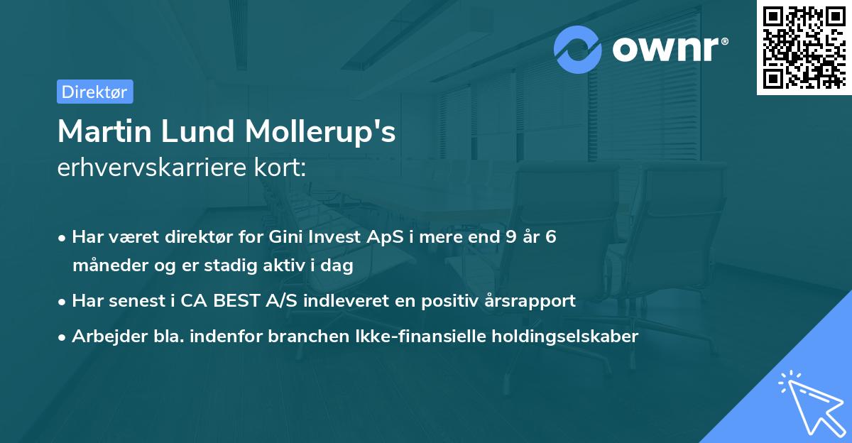 Martin Lund Mollerup's erhvervskarriere kort
