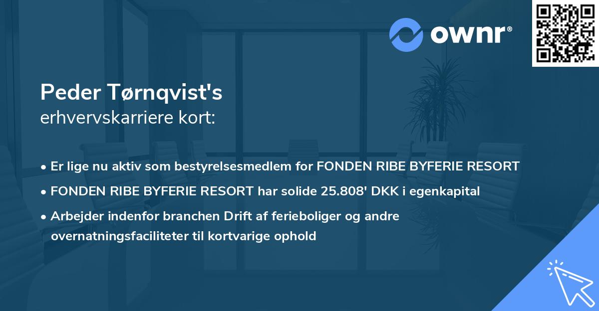 Peder Tørnqvist's erhvervskarriere kort