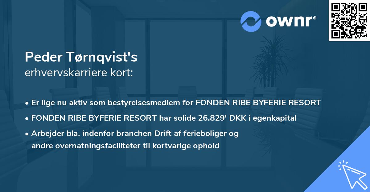 Peder Tørnqvist's erhvervskarriere kort