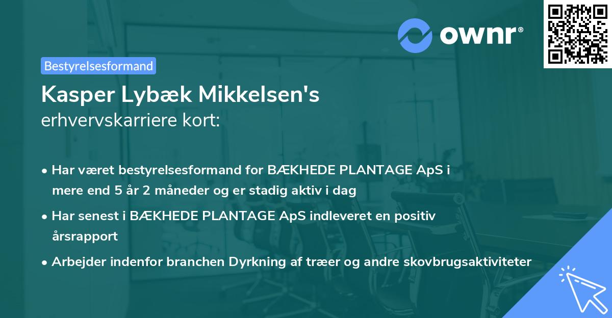 Kasper Lybæk Mikkelsen's erhvervskarriere kort