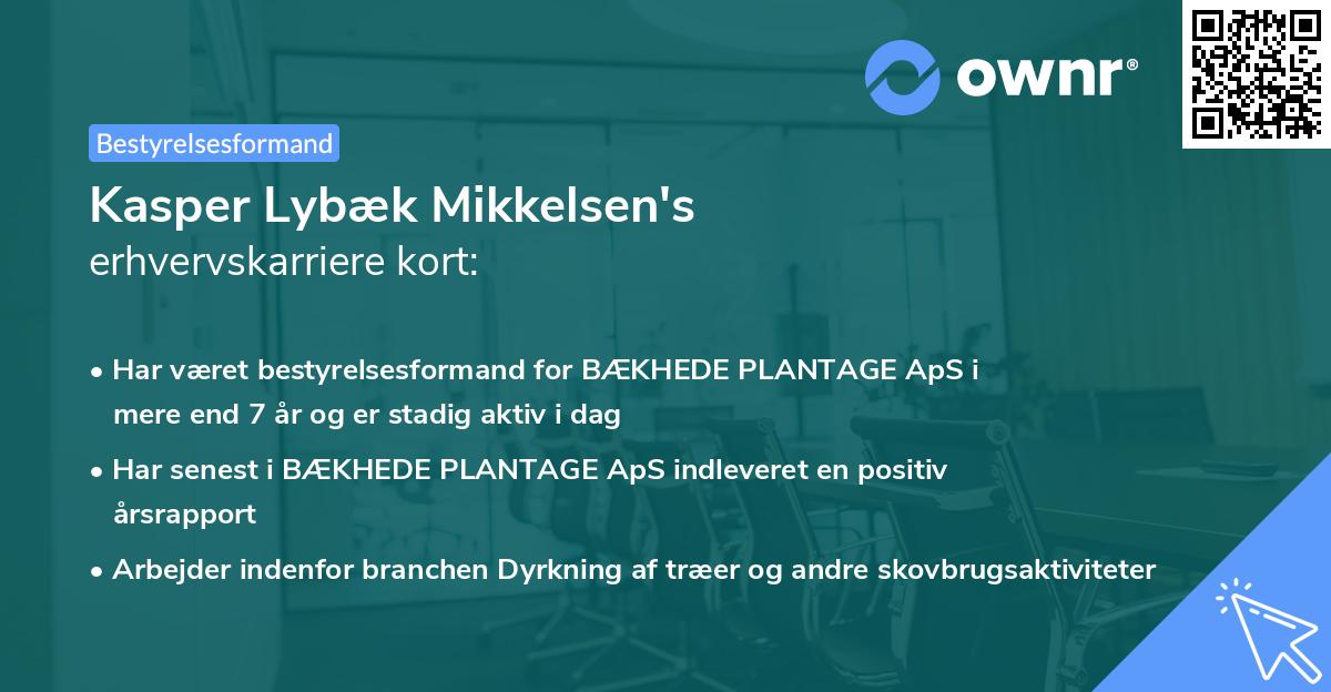 Kasper Lybæk Mikkelsen's erhvervskarriere kort