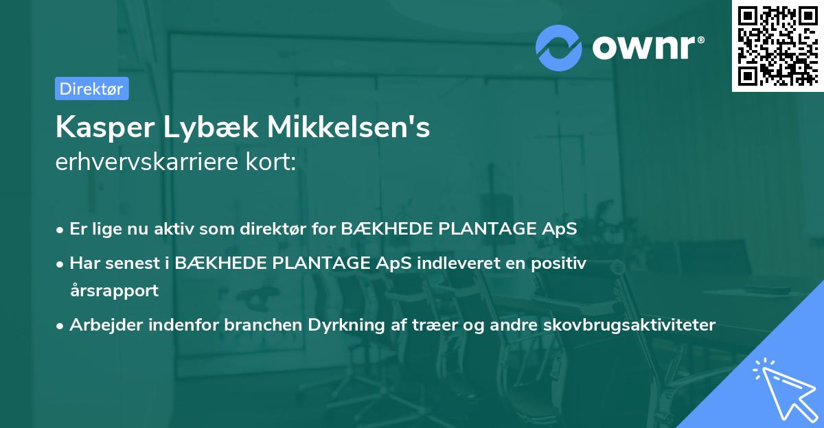 Kasper Lybæk Mikkelsen's erhvervskarriere kort