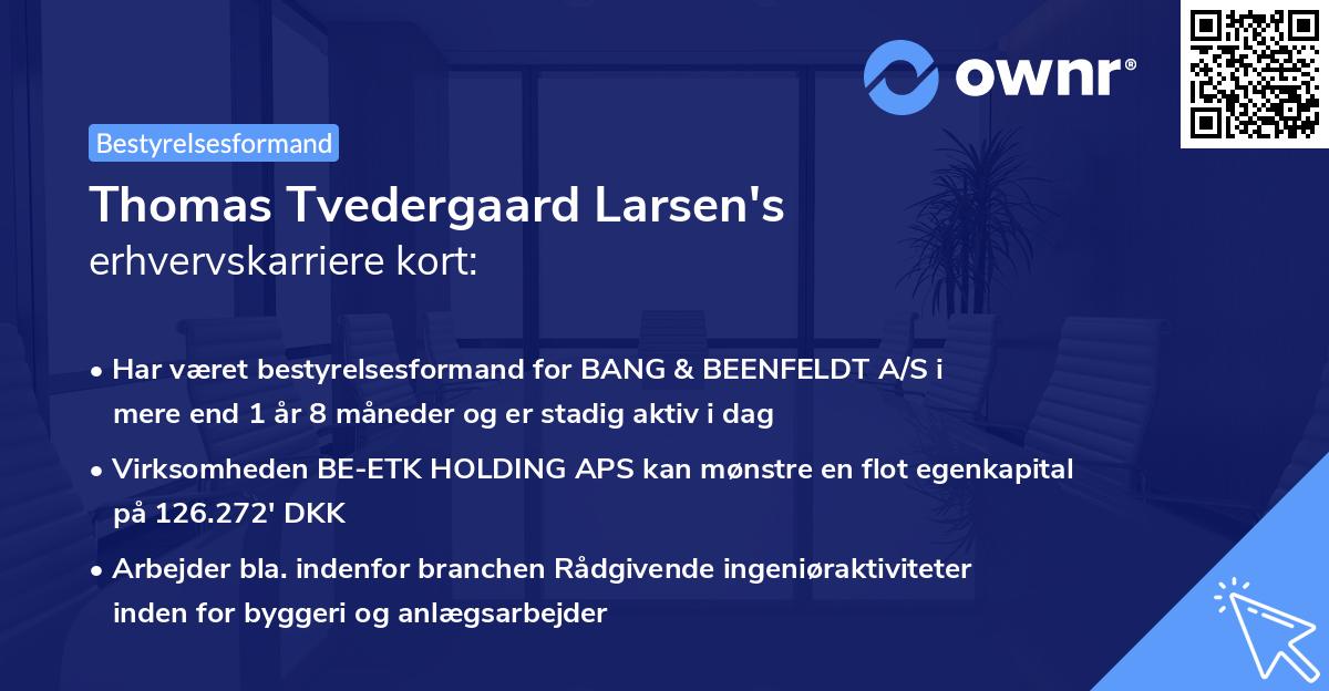 Thomas Tvedergaard Larsen's erhvervskarriere kort