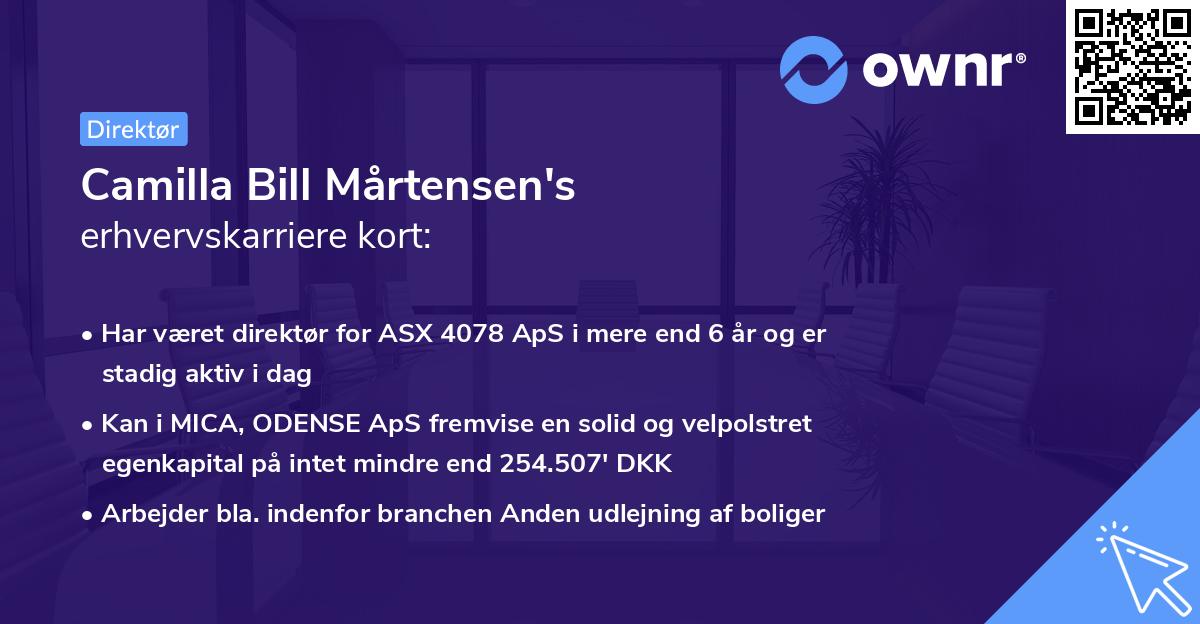 Camilla Bill Mårtensen's erhvervskarriere kort
