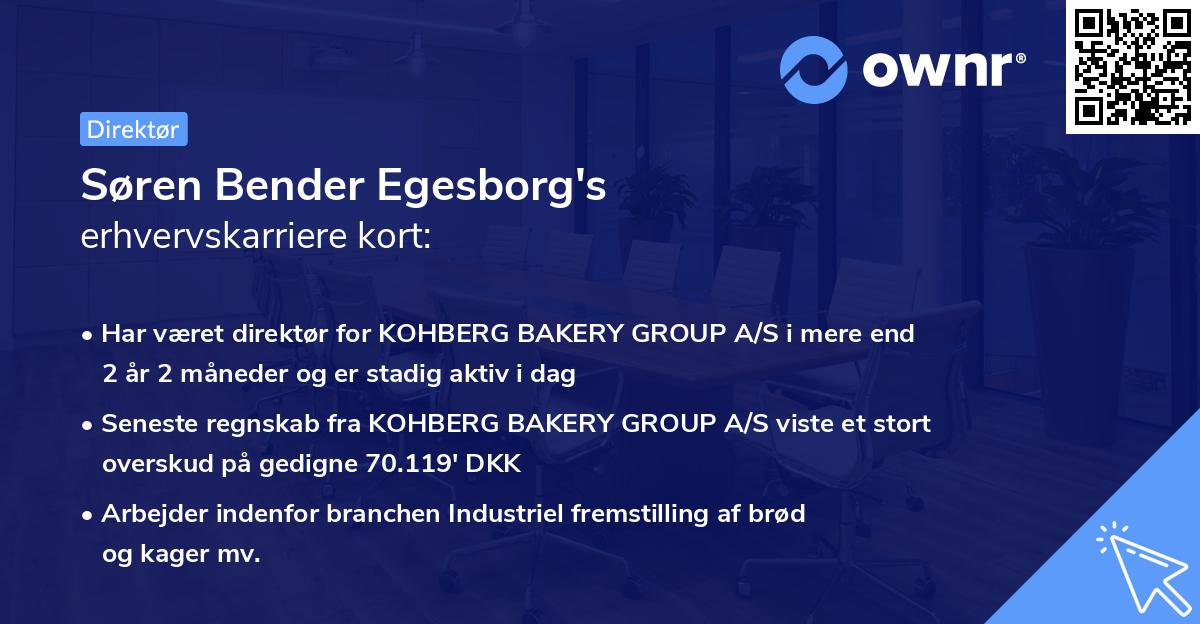 Søren Bender Egesborg's erhvervskarriere kort