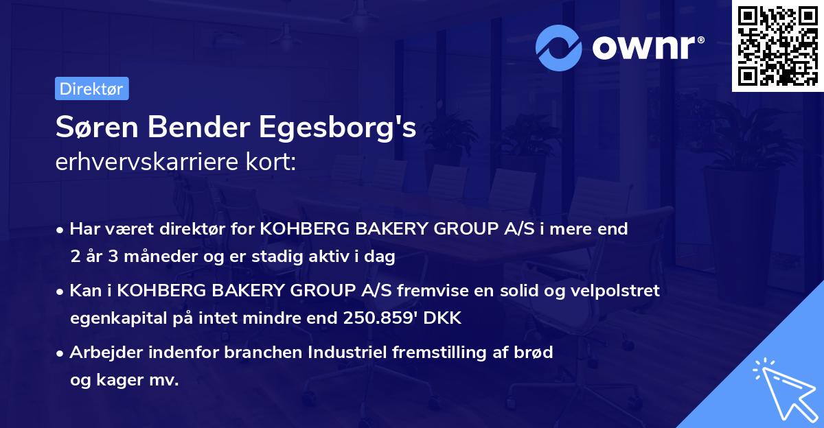 Søren Bender Egesborg's erhvervskarriere kort