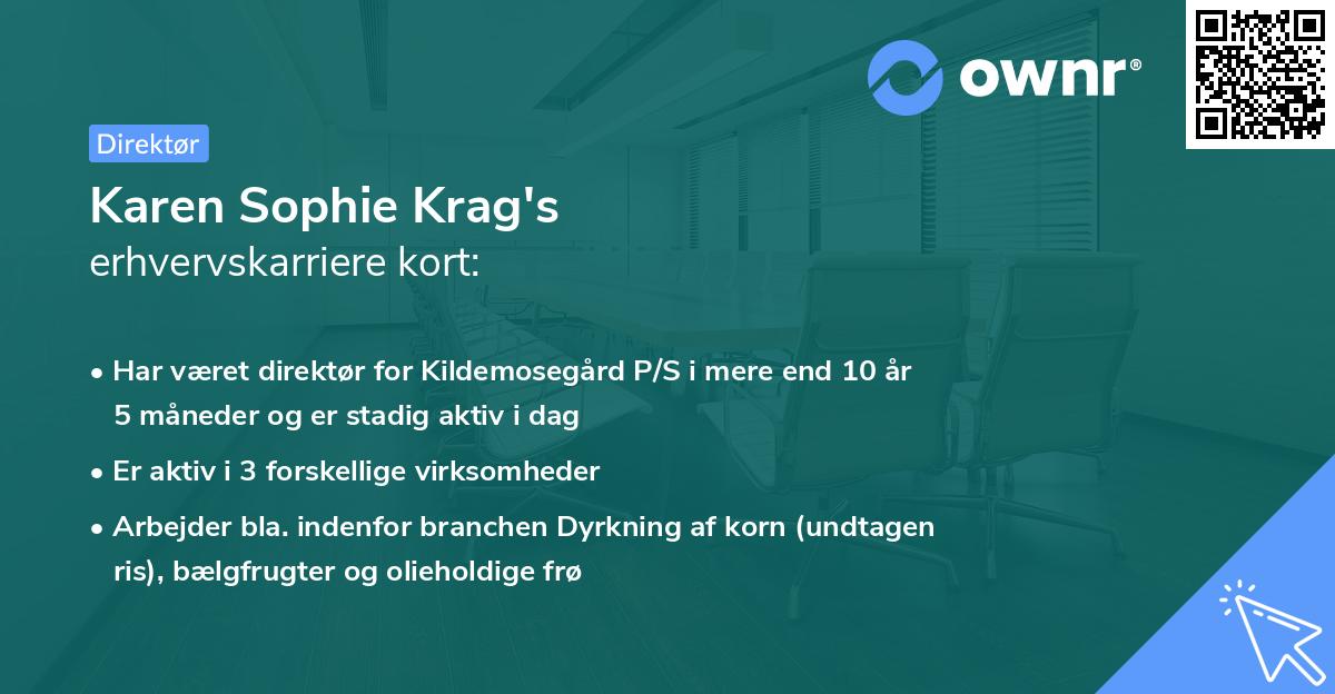 Karen Sophie Krag's erhvervskarriere kort