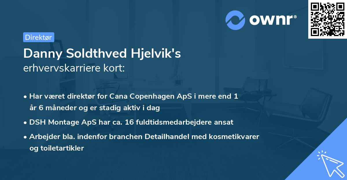 Danny Soldthved Hjelvik's erhvervskarriere kort