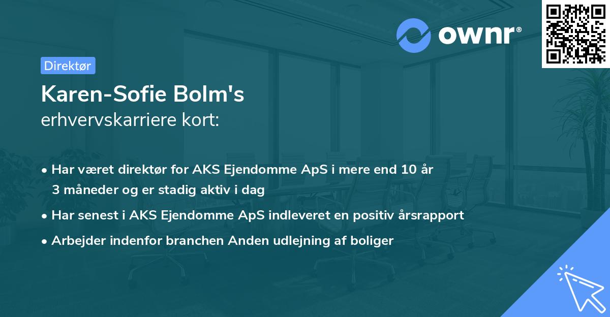 Karen-Sofie Bolm's erhvervskarriere kort
