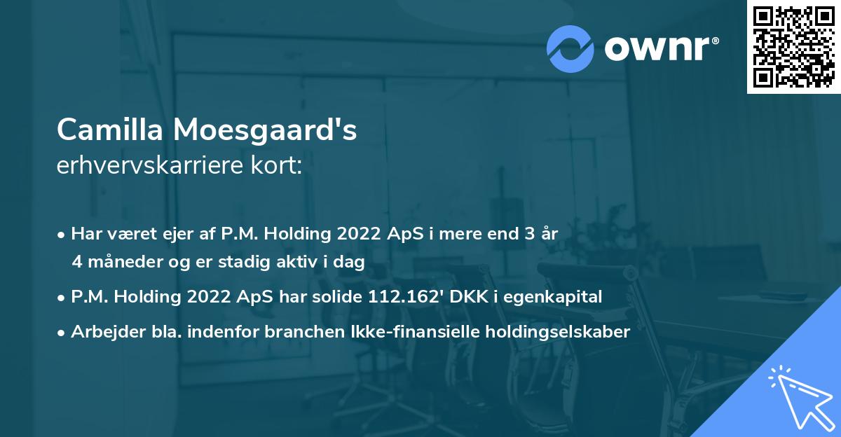 Camilla Moesgaard's erhvervskarriere kort