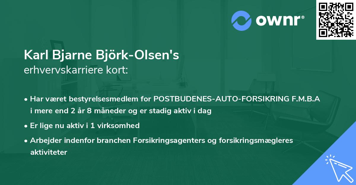 Karl Bjarne Björk-Olsen's erhvervskarriere kort