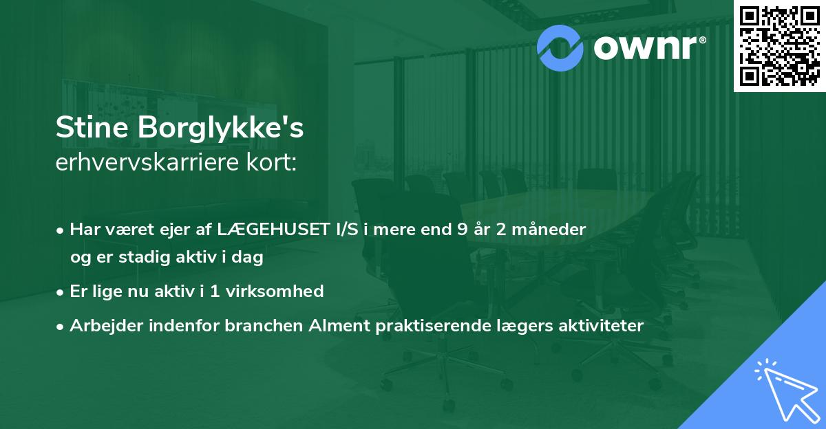 Stine Borglykke's erhvervskarriere kort