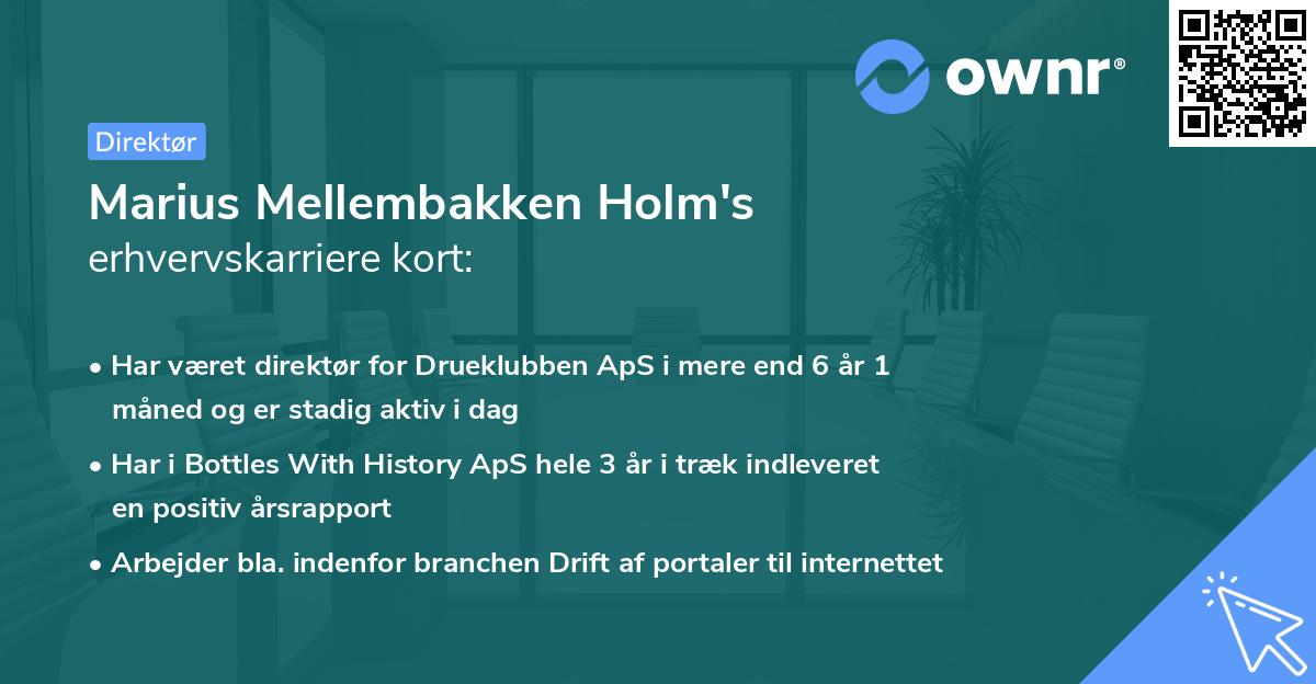 Marius Mellembakken Holm's erhvervskarriere kort
