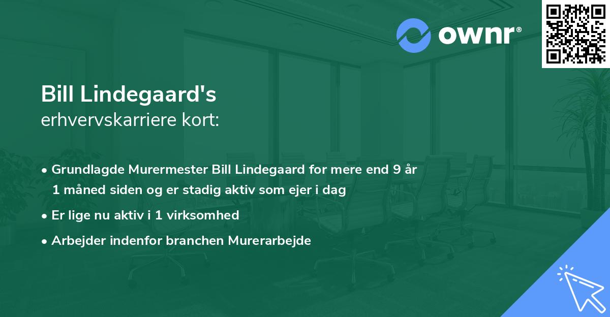 Bill Lindegaard's erhvervskarriere kort