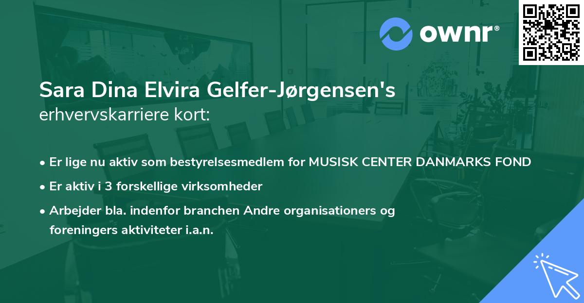 Sara Dina Elvira Gelfer-Jørgensen's erhvervskarriere kort