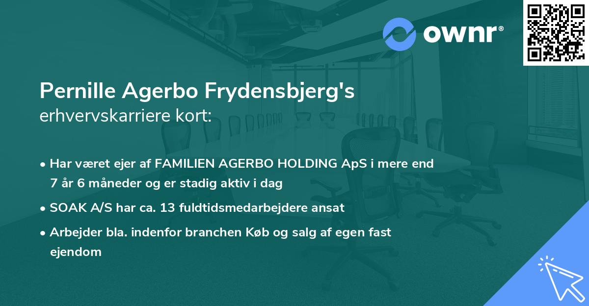 Pernille Agerbo Frydensbjerg's erhvervskarriere kort