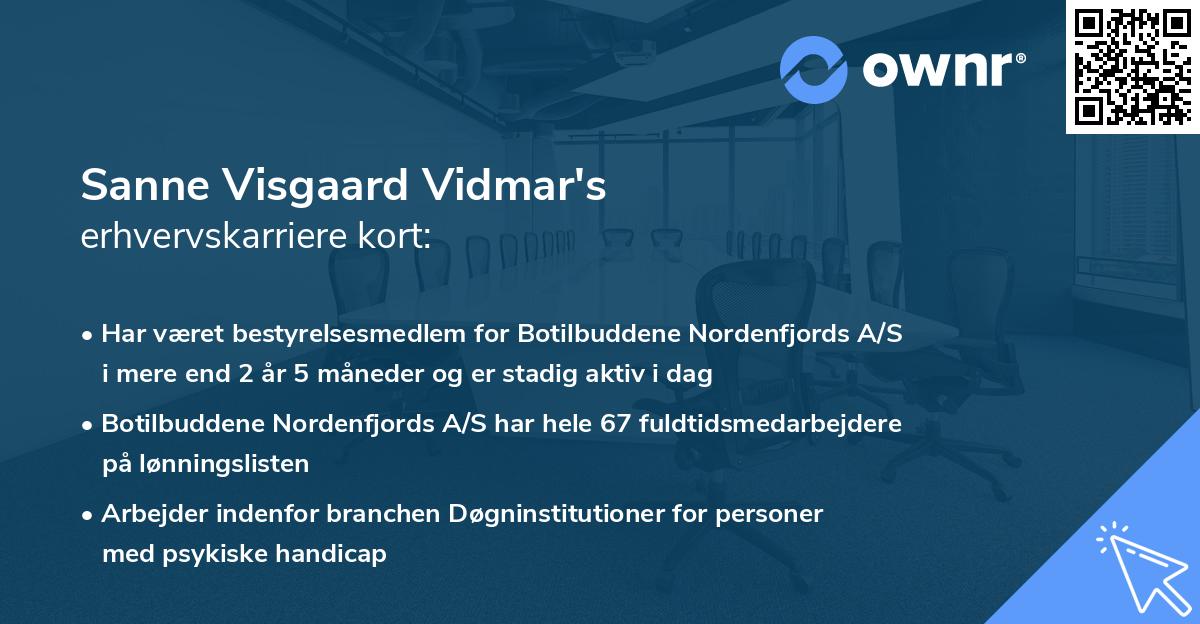 Sanne Visgaard Vidmar's erhvervskarriere kort