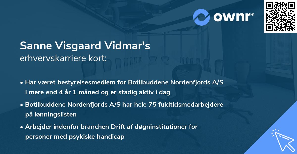 Sanne Visgaard Vidmar's erhvervskarriere kort
