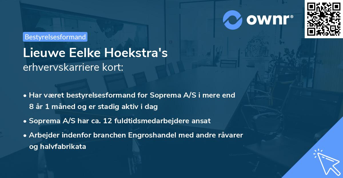 Lieuwe Eelke Hoekstra's erhvervskarriere kort