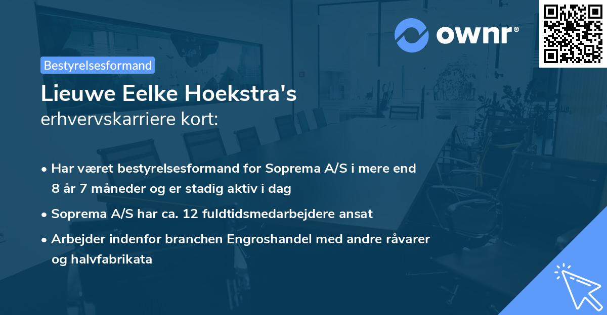 Lieuwe Eelke Hoekstra's erhvervskarriere kort
