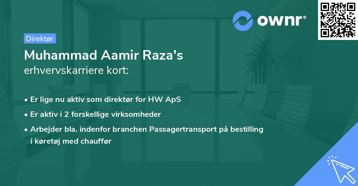 Muhammad Aamir Raza's erhvervskarriere kort