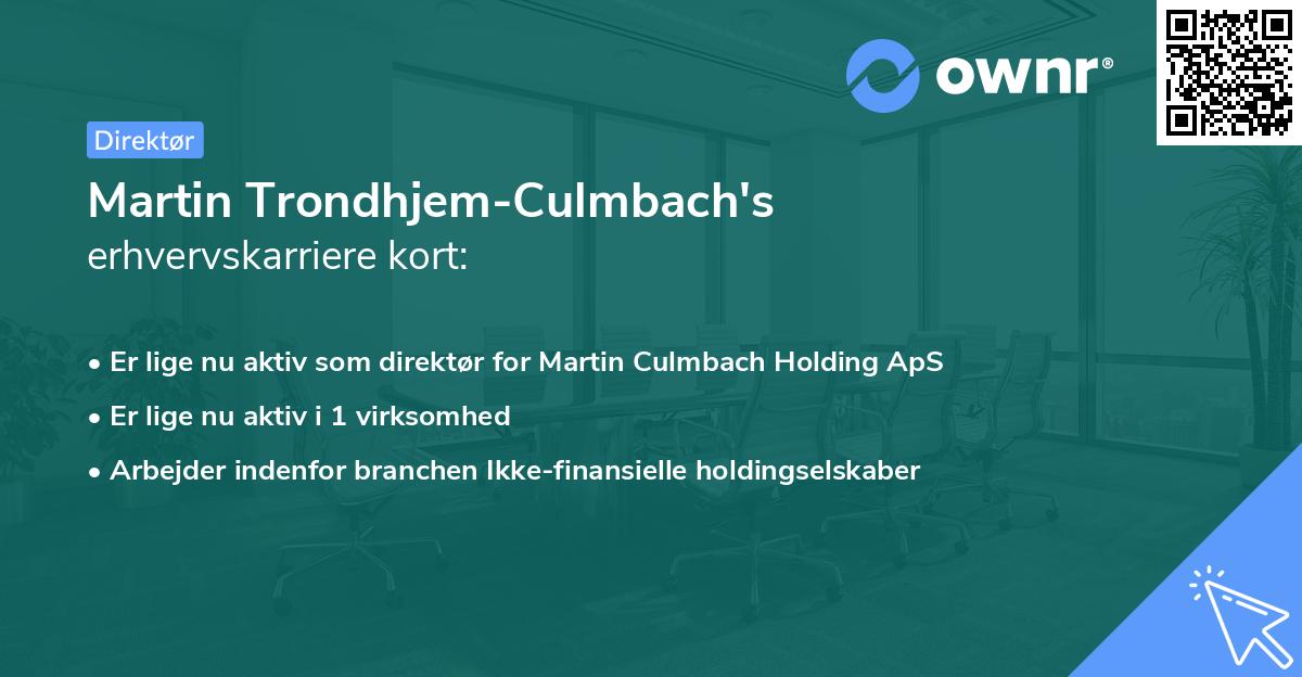 Martin Trondhjem-Culmbach's erhvervskarriere kort