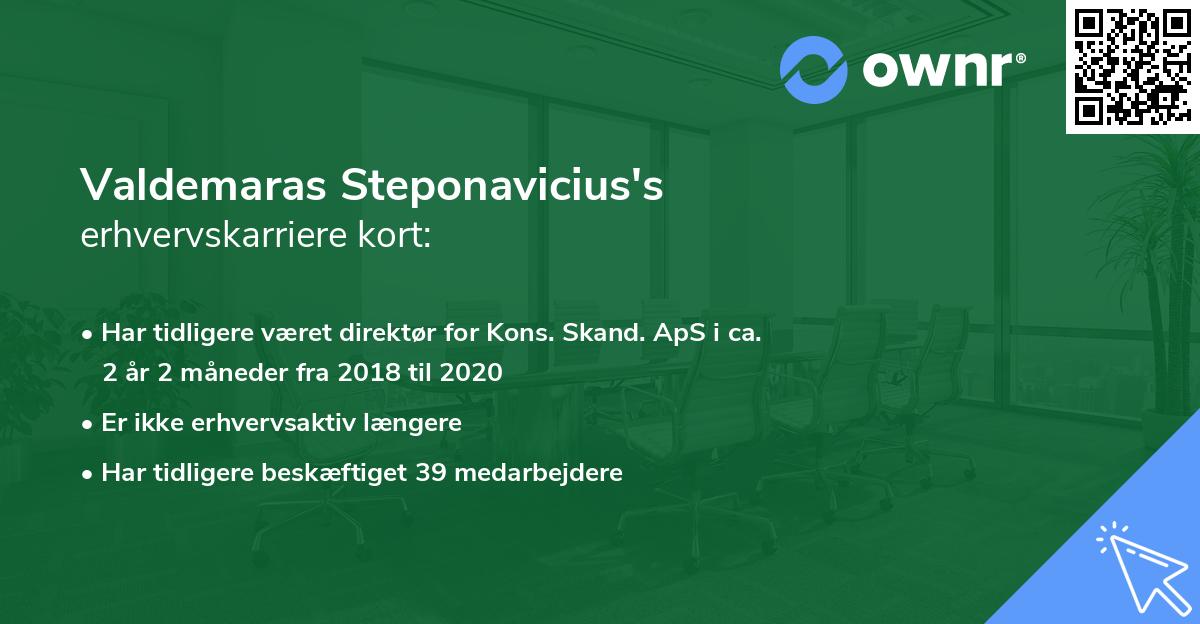 Valdemaras Steponavicius's erhvervskarriere kort